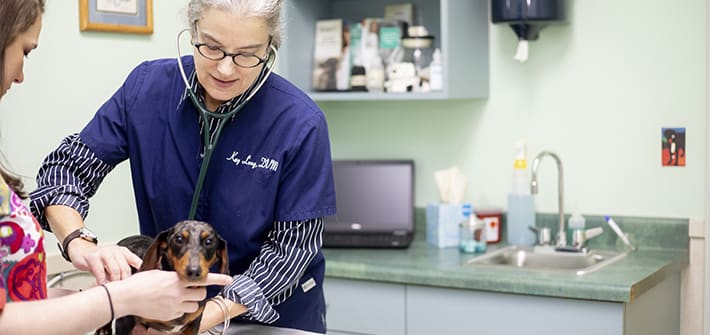 Routine Exams | Animal Hospital of Clemmons | Clemmons Vet Serving the Great Winson-Salem area
